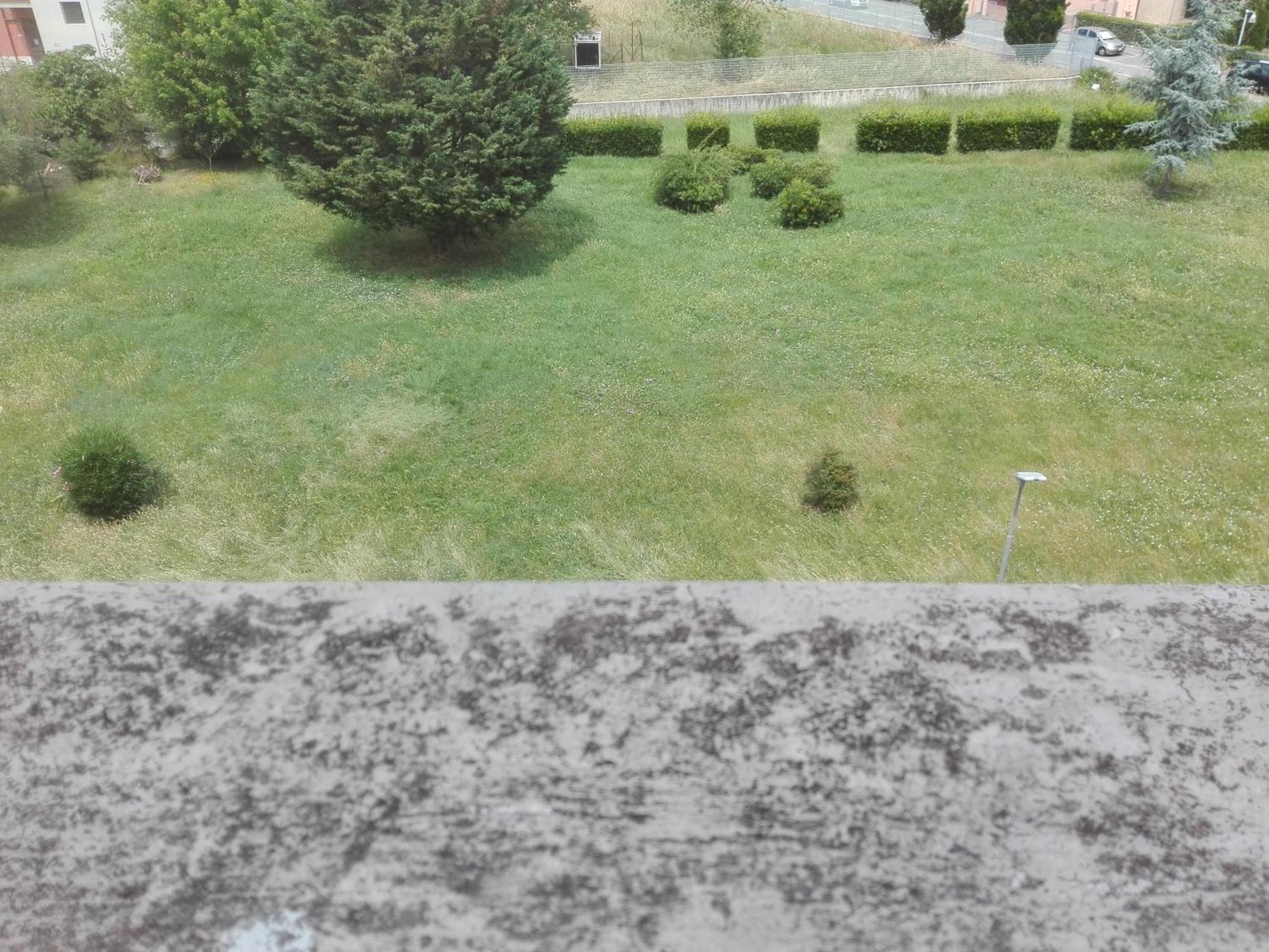 Welchome - Cisanello Pisa Dış mekan fotoğraf